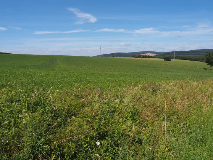 Beausaint (La Roche-en-Ardenne, Belgium)